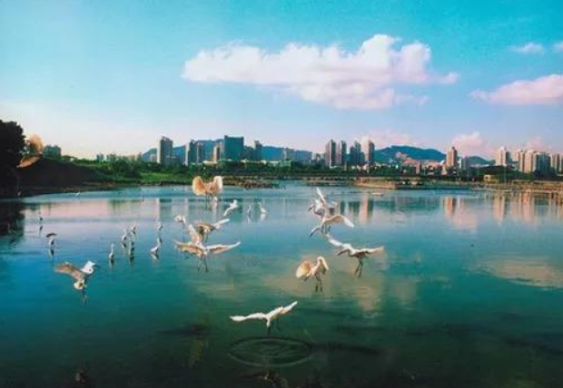 人民日報：環境有價，損害必須擔責